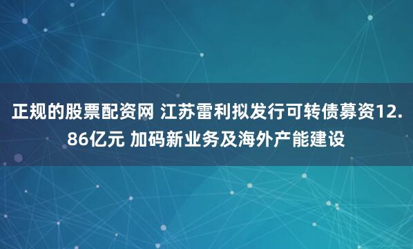 正规的股票配资网 江苏雷利拟发行可转债募资12.86亿元 加码新业务及海外产能建设
